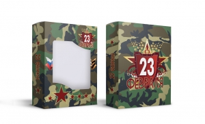 Подарочная коробка "23 февраля" арт. 66-22